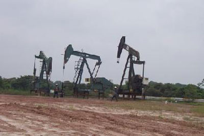 Working Interest Blok Kampar Tetap Diperjuangkan