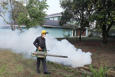 77 Warga Pelalawan Terserang DBD