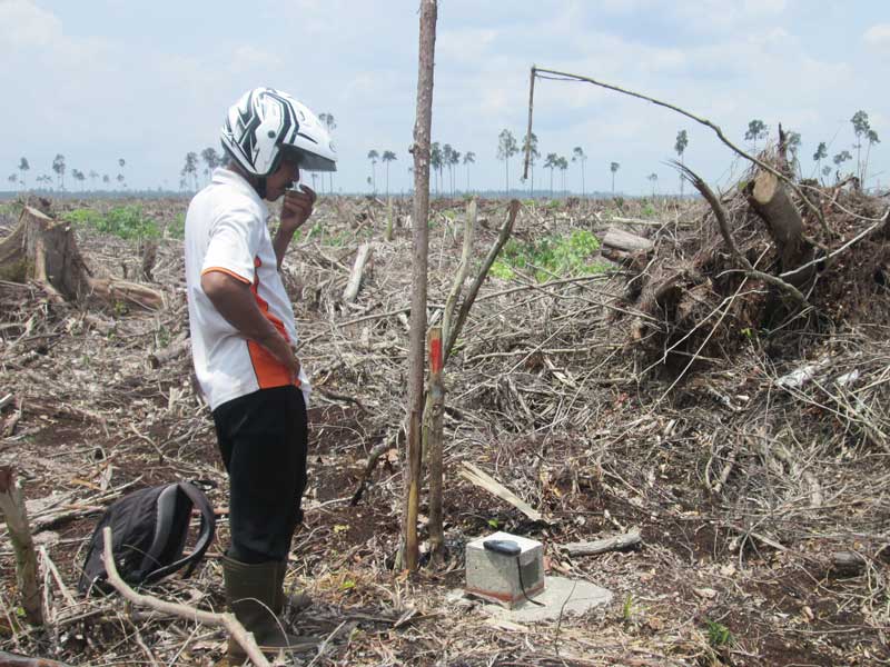 Pasang Patok di Kebun Warga, RAPP Resahkan Masyarakat Pulau Padang