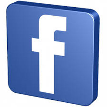 Promosikan Desa, Pemerintah Gandeng Facebook dan Google