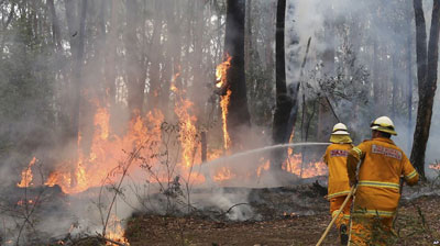 Pembakaran Hutan, Kearifan Lokal yang Berubah Jadi Bencana