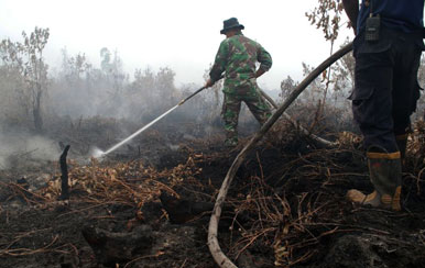 Setelah Singapura, Asap Kebakaran Hutan di Riau Akan Selimuti Malaysia