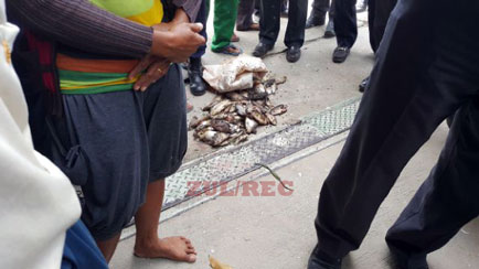 Soal Dugaan Limbah Beracun PT RAPP, BLH Pelalawan Kirim Sampel Air Kanal ke Labor