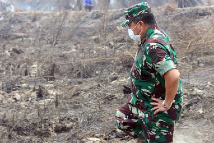 Danrem 031/Wirabima Imbau Kepala Daerah Serius Tanggulangi Karhutla