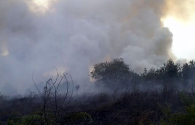 Kesulitan Air, Kebakaran Lahan di Pulau Muda Meluas