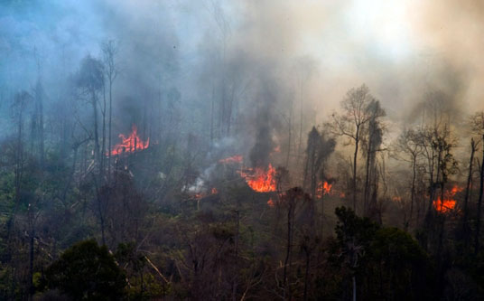 Akibat Kabut Asap Tebal, Pesawat Pelita Air Batal Mendarat di Dumai