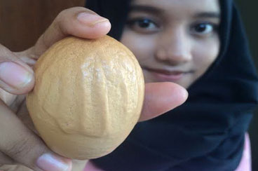 Heboh Penemuan Telur Betuliskan Lafaz Allah di Makassar