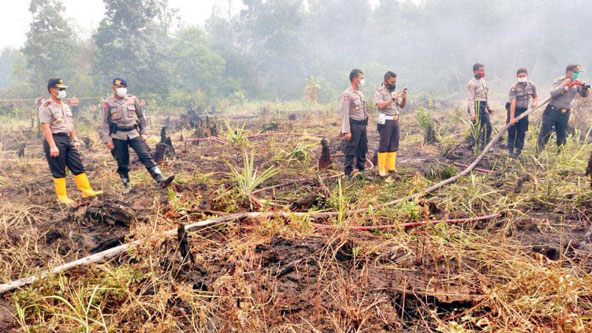 Kebakaran Lahan Kembali Terjadi di 8 Perusahaan yang di SP3 kan Polda Riau