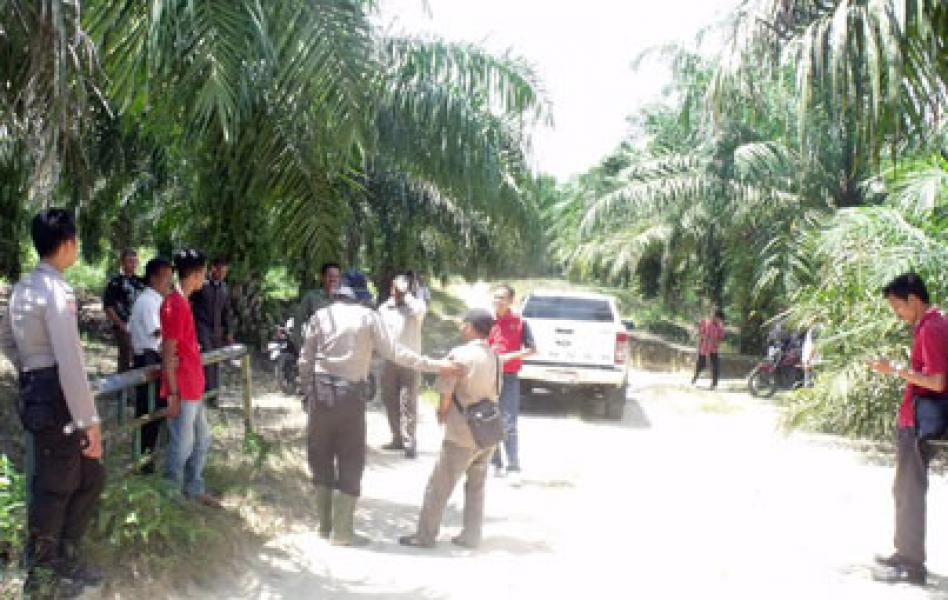 Setelah Tim Meninjau Lokasi, Eksekusi Lahan Kebun Fieter Wongso Kembali Gagal