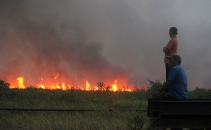 BMKG Sebut 145 Titik Api di Riau, 100 Ada di Rohil