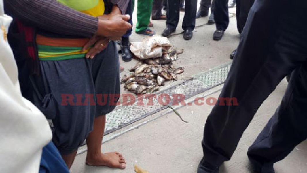Diduga Masyarakat Desa Sering Tercemar Limbah Beracun PT RAPP