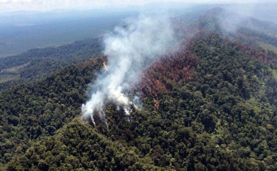 Dirambah, Hutan Lindung Bukit Suligi Riau Terbakar