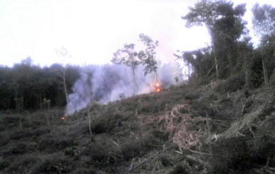 Polsek XIII Koto Kampar Tangkap Dua Pembakar Lahan di Desa Pulau Gadang