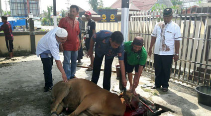 Semarak Idul Adha 1437 H, Polres Inhil Potong 3 Ekor Sapi Qurban
