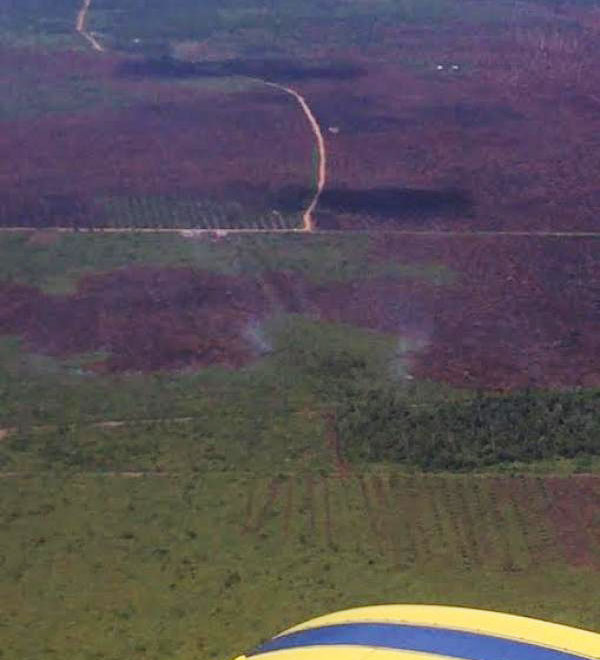 PT APSL Bantah Tudingan Lahan Terbakar dan Terlibat SP3 Polda Riau
