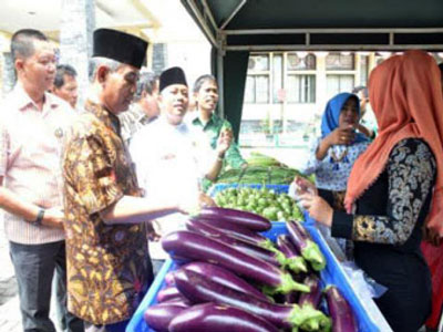 Aspartani Agri Kampar Mandiri Diharapkan Mampu Menjadi Wadah Hasil Tani