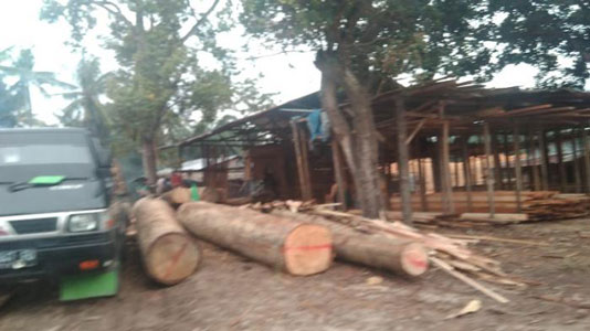 Ditemukan Sawmill di Desa Pandau Jaya, Sekian Lama Beroperasi Mengolah Kayu Hutan
