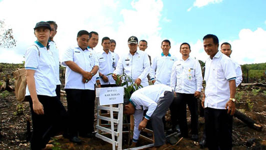GN-KPA dan Kementrian PUPR Tanam 950 Pohon di Sungai Bungo, Rohul