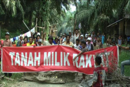 Klaim Masuk Kawasan Latihan Militer, Pohon Sawit Warga Tapung Kampar Ditumbangi