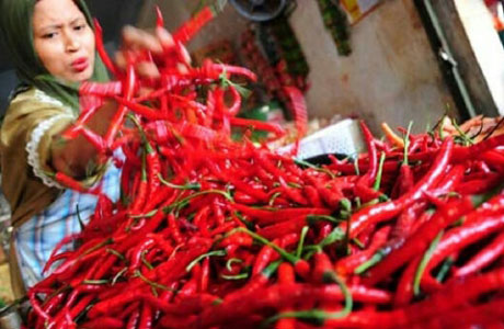 Harga Cabe Merah di Kepulauan Meranti Tembus Rp 110.000 Perkilogram