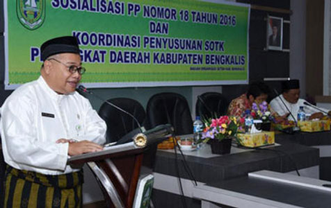 Pemkab Bengkalis Taja Sosialisasi PP Nomor 18 Tahun 2016