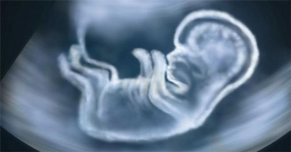 Alquran Jelaskan Tiga Fase Bayi dalam Kandungan