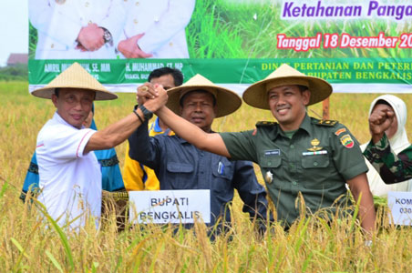 Bengkalis Masih Kekurangan Beras 39.170 Ton Setiap Tahun