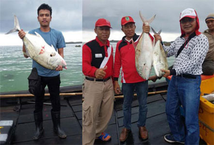 Pulau Jemur Kaya Ikan Raksasa