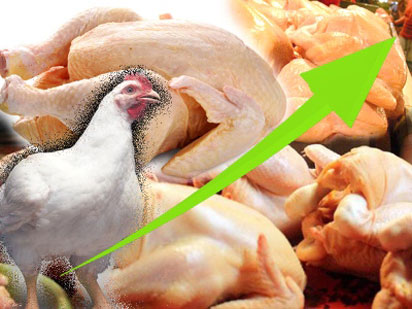 Jelang Natal dan Tahun Baru, Harga Ayam dan Ikan Merangkak Naik