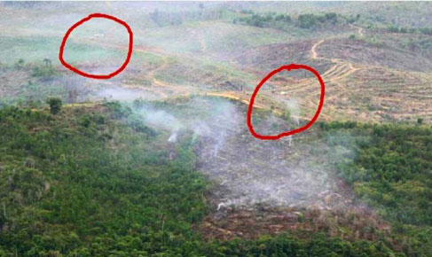Patroli Udara Heli Super Puma TNI AU Temukan Lahan Terbakar dan Gubuk Diduga Ilegal di TNTN Pelalawan