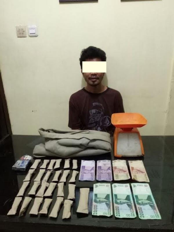 Lagi..Pengedar Ganja di Pekanbaru Ditangkap Polisi