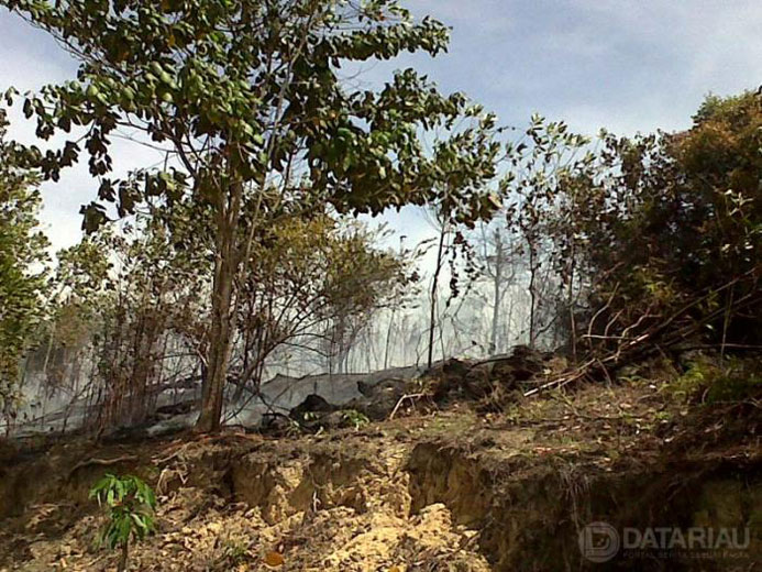 Karlahut Terjadi di Kecamatan Pasir Penyu Inhu