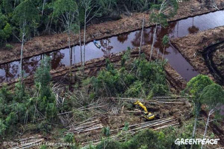 Pabrik Baru Milik APP Ancam Komitmen Indonesia Terhadap Perubahan Iklim