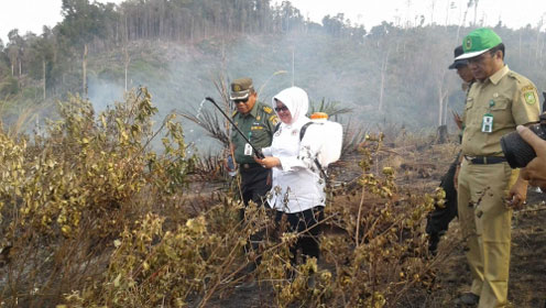 Yulwiriati Moesa Geram Kawasan Hutan Lindung Bukit Betabuh. Disulap Jadi Perkebunan Sawit.