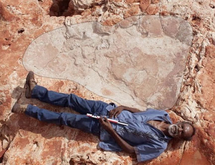 Ilmuwan Temukan Jejak Kaki Dinosaurus Terbesar