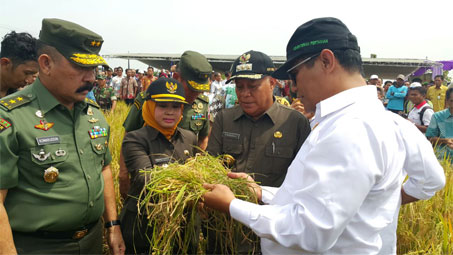 Mentan RI Dengarkan Keluhan Petani dan Berikan Solusi