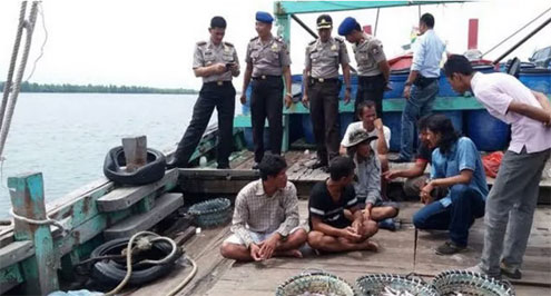 Wow! Pencurian Ikan Marak, Hasil Tangkapan Kapal Asing pun Banyak