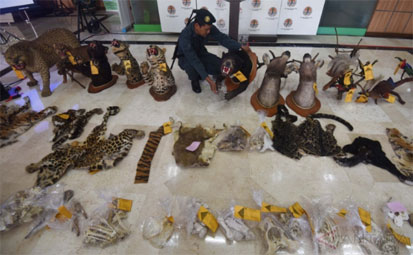 Polisi Cokok 2 Pelaku Penjual Satwa Dilindungi Secara Online