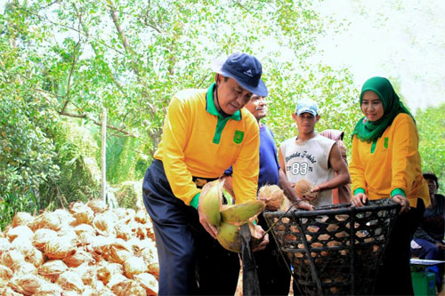 Jelang Hari Kelapa Dunia, Bupati Wardan: Lakukan Persiapan Secara Simultan