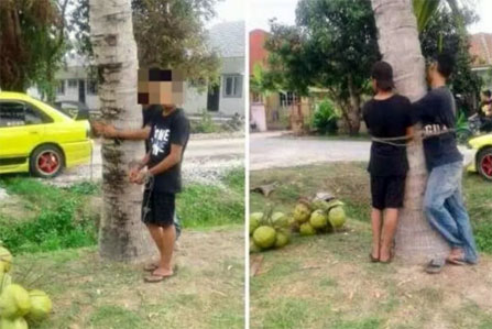 Mencuri Kelapa Saat Ramadan, Dua Pria Diikat ke Pohon