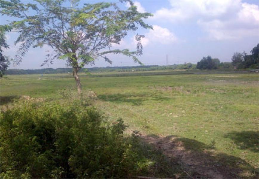 Jika Petani Bisa Panen 2 Kali Setahun, Insya Allah 2019 Kampar Swasembada Pangan