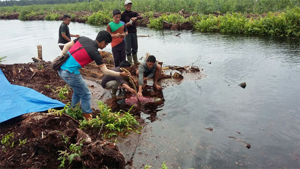 Tiga Hari Menghilang, Seorang Karyawan Tenggelam Ditemukan Mengapung di Kanal SRL