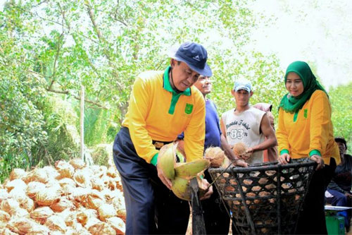 Bupati Wardan Apresiasi Inisiatif Perbentukan Koalisi Kabupaten Pemerhati Kelapa