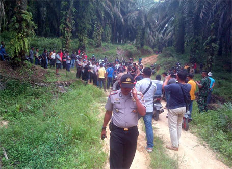 Belum Diganti Rugi, Warga Duduki 56 Hektar Lahan Kebun PT Tasma Puja