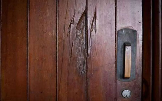 Seram! Nih 5 Kampus Terangker di Dunia