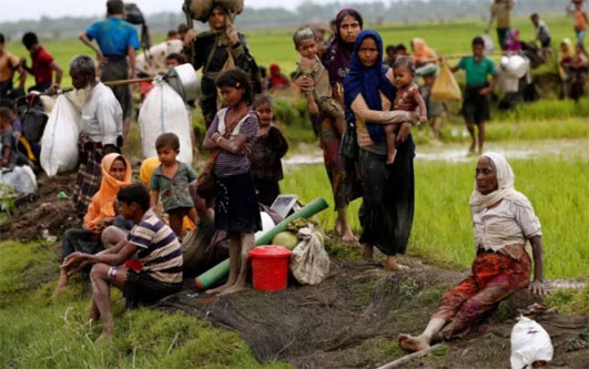Saksi: Anak-anak Dipenggal, Pembersihan Rohingya Sedang Berlangsung