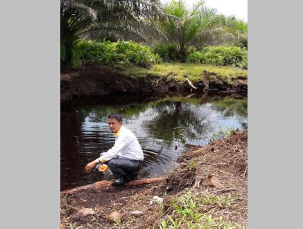 Diduga, PT SPS Tanam Sawit Di Wilayah DAS, BLH Dan Disbun Tutup Mata
