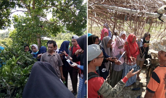 30 Siswa Kelompok Ilmiah SMAN 1 Kepenuhan Kunjungi Kebun Jeruk dan Industri Batu Bata
