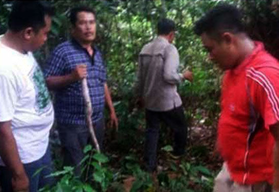 Petani Karet di Kampar Kiri Bersimbah Darah Diterkam Beruang