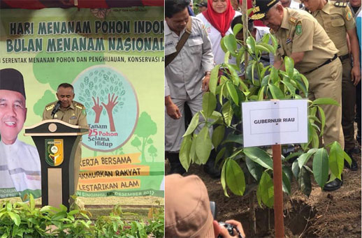 Sempena Hari Menanam Indonesia 2017, Gubri Tanam Pohon di Desa Pantai Kuantan Mudik